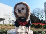冬の公園でお散歩