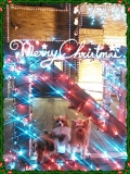 「メリークリスマス」の画像（1枚目）