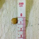 口コミ：ストレスと戦う旦那さま、お父さん、彼氏さんに❤︎キングアガリクス《ベストポジション》の画像（9枚目）