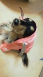 我が家息子♪