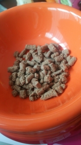 口コミ：無添加ドッグフードsample感想の画像（3枚目）
