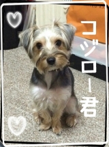 口コミ：1月9日(金曜日)モニター体験中！の画像（5枚目）