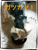 口コミ：1月9日(金曜日)モニター体験中！の画像（4枚目）