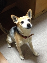 口コミ：当選！の画像（1枚目）