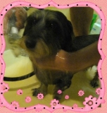 「ブログでも紹介しました」の画像（1枚目）