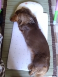 お悩みは&hellip;