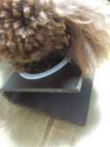 口コミ：人も食べれる無添加ドッグフード当選しました。の画像（3枚目）