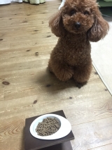 口コミ：人も食べれる無添加ドッグフード当選しました。の画像（6枚目）