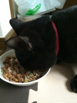 口コミ：国産 無一物　ねこまんまパウチ♪の画像（4枚目）