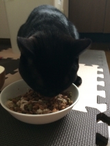 口コミ：国産 無一物　ねこまんまパウチ♪の画像（5枚目）