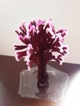 口コミ：magic桜の画像（2枚目）