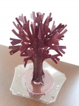 口コミ：magic桜の画像（3枚目）