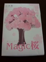 口コミ：magic桜の画像（6枚目）
