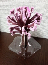 口コミ：magic桜の画像（1枚目）