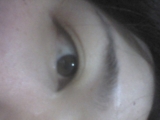 まつげがないのです