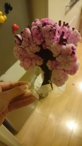 口コミ：モニター　マジック桜の画像（1枚目）