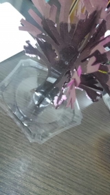 口コミ：モニター　マジック桜の画像（2枚目）