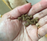 口コミ：人も食べれる！？の画像（2枚目）