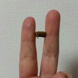 口コミ：当選しました（2回目）の画像（10枚目）