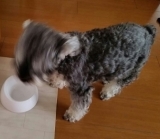 口コミ：当選しました（2回目）の画像（6枚目）