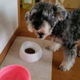 口コミ：当選しました（2回目）の画像（7枚目）