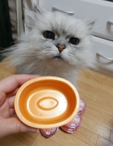 口コミ：ねこ姫　ちゅ～るタイプの画像（1枚目）