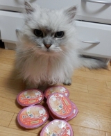 口コミ：ねこ姫　ちゅ～るタイプの画像（5枚目）