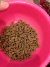 口コミ：無添加ドッグフード安心★の画像（3枚目）