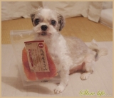 口コミ：ポーちゃんのご褒美&hearts;　＆　ダシ巻き卵の画像（5枚目）