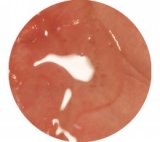 口コミ：１枚で３ステップ！　Janique 3ステップマスクパックの画像（2枚目）