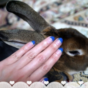 「♡かわいいネイルで、かわいいウサギさんと記念撮影♡」あなたの女子力は何？写真を投稿して『キレイの詰め合わせBOX』プレゼントの投稿画像