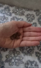 口コミ：ダイエットサプリ「ナチュリズム」試飲感想の画像（2枚目）