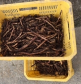 口コミ：九州自然観の「経口補水液」の画像（8枚目）