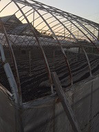 口コミ：九州自然観の「経口補水液」の画像（7枚目）