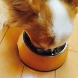 「鹿肉ライトフード」の画像（3枚目）