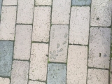 「ワタシ。」の画像（1枚目）