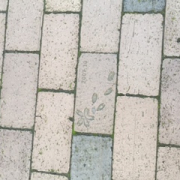 「ワタシ。」お名前シール　新デザイン募集　あなたが考えたキャラクター・柄がデザインになる！の投稿画像