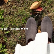 「冬の訪れ」美足百選サイト応援でマジカルパフをプレゼント！「写真投稿者様のみです」の投稿画像