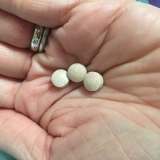 「九州自然館「五穀の糀と乳酸菌プレミアム」♫」の画像