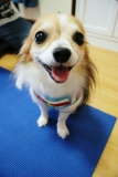宝物