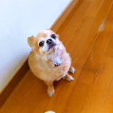 「僕」の画像（1枚目）