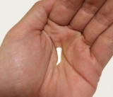 「透明感アップの化粧水」の画像