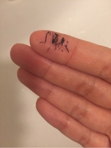 口コミ：★トゥインクル・ビー ブリリアントライズラッシュ★の画像（1枚目）