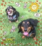 「元気にお留守番」の画像（1枚目）