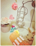 「すごい！オリファ発酵美養液」の画像（1枚目）