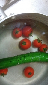 口コミ：オーガニック野菜洗浄　安全野菜のもと　モニター当選！の画像（3枚目）