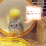 「彼氏「なんか顔黒ずんでる？」」の画像