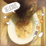 口コミ：銀のスプーン三ツ星グルメパウチ国産プレミアム当たった〜♪の画像（4枚目）