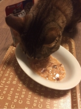 口コミ：銀のスプーン三ツ星グルメパウチ国産プレミアム当たった〜♪の画像（2枚目）