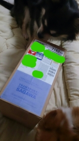 口コミ記事「今話題の水素水！」の画像